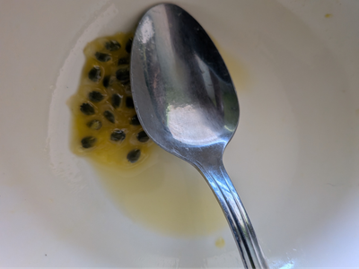 Passion fruit
