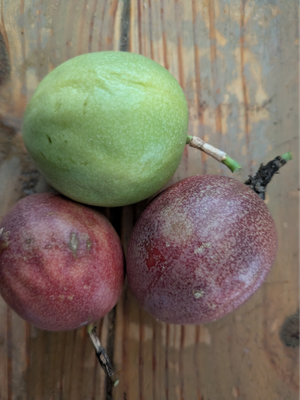 Three passion fruit, one green and two purple