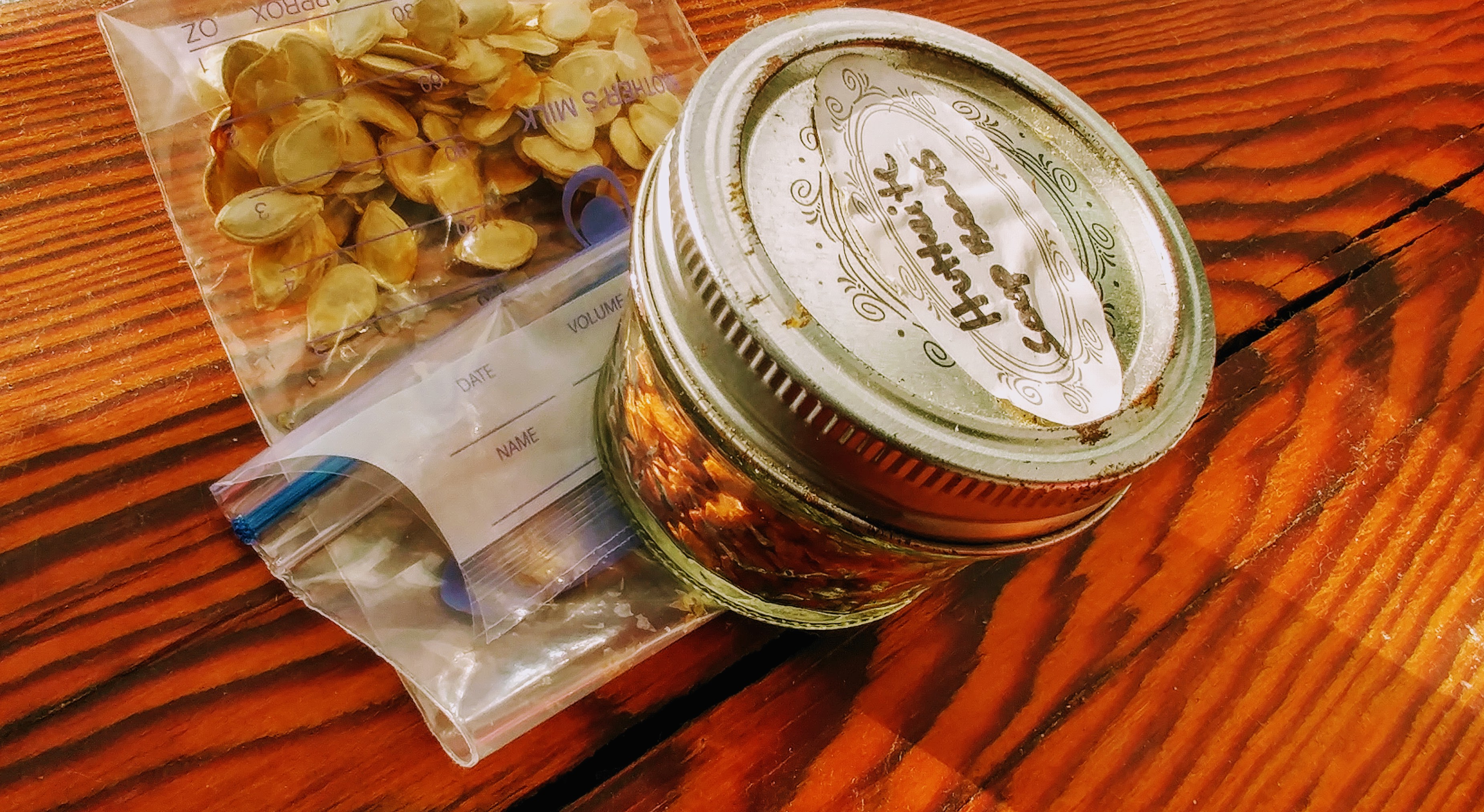 seeds