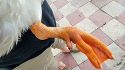 featured post image