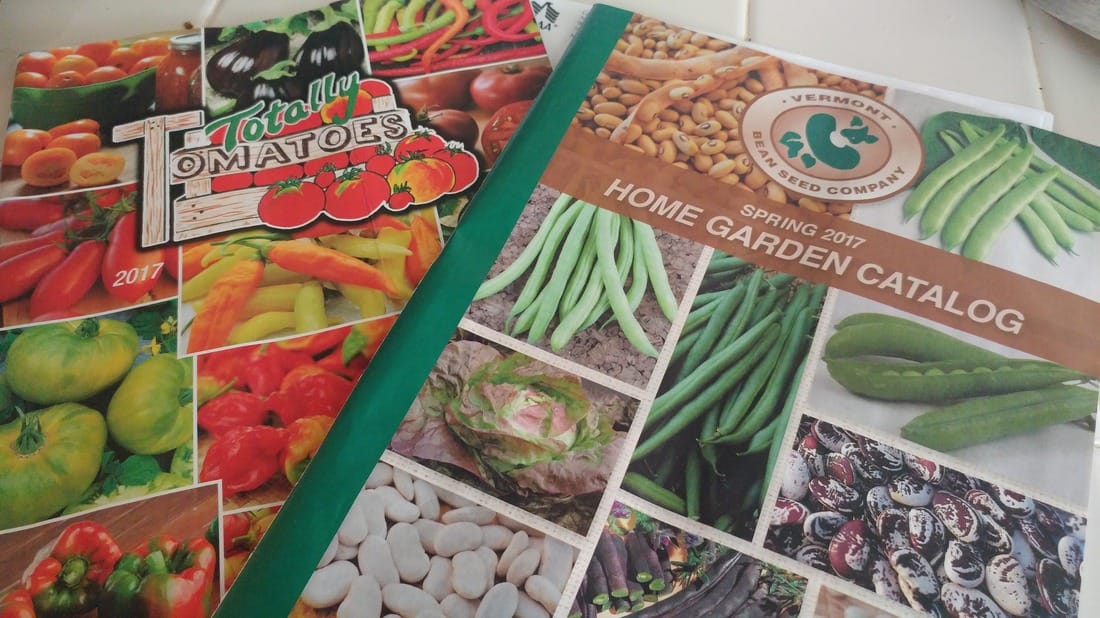 Catalogs