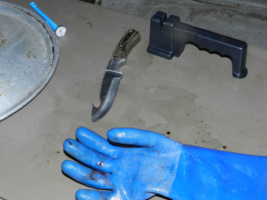 Gloves, thermometer, knife, and sharpener