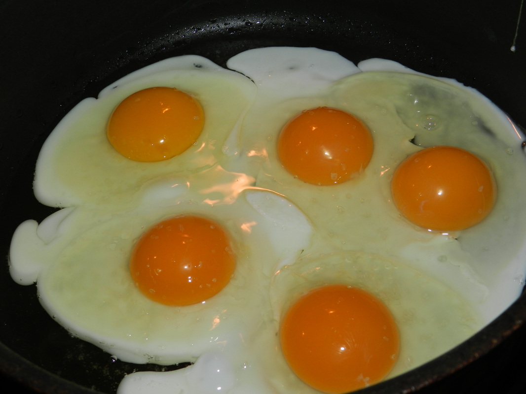 fresh eggs cooking in a skillet